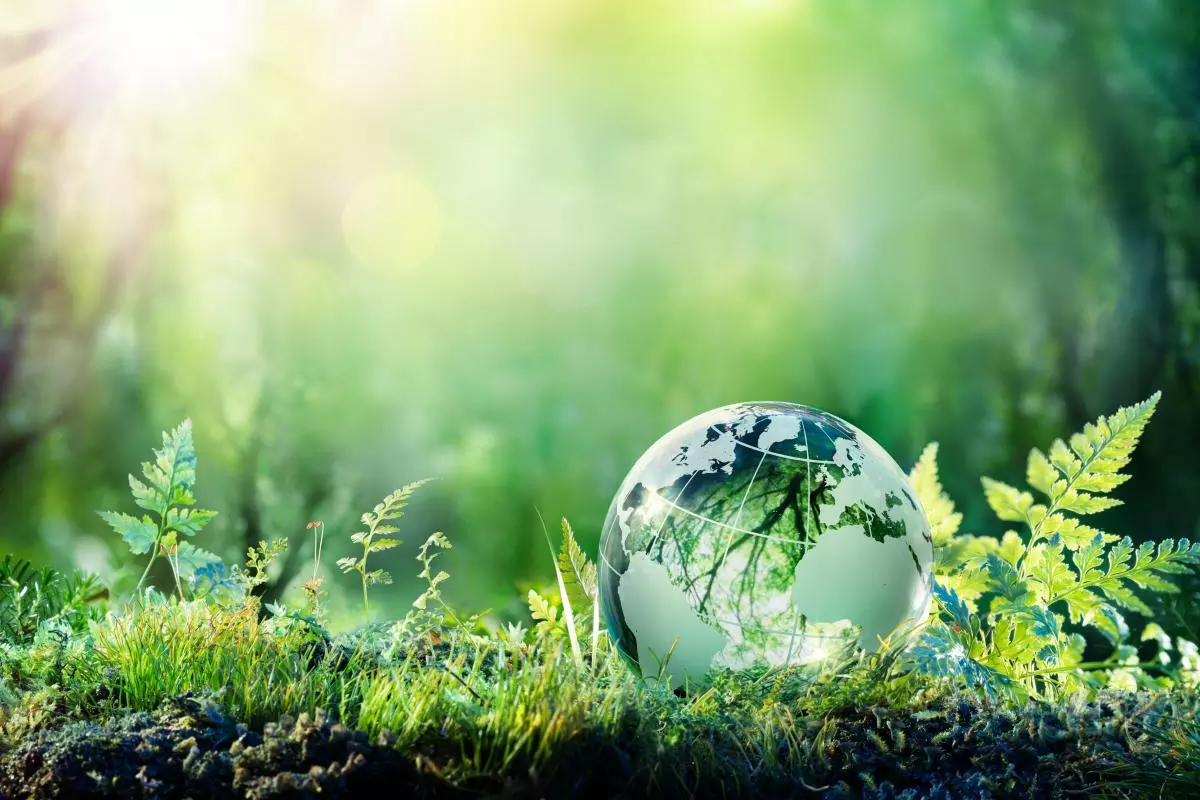 globe in a forest